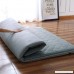 hxxxy Tatami floor mat Futon mattress topper Plenty thick Traditional japanese futon Japanese bed-C 180x200cm(71x79inch) - B07BCDNGX1