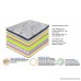 Olee Sleep 12 inch Hybrid Euro Box Top Pocket Spring Mattress (Queen) - B012J00VTS
