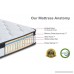 Swiss Ortho Sleep 10 inch Hybrid Innerspring and Memory Foam Pillow Top (Queen) - B06XP85TX4