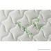Swiss Ortho Sleep 12 inch Plush Pillow Top & Pocket Spring Mattress - Green Foam Certified (King) - B0797PMS87