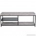 Giantex Accent Modern Coffee Table in Living Room Industrial Style Metal Frame Tempered Glass Middle Shelf Sofa Side Rectangular Cocktail Coffee Table (Gray with 2 Shelf) - B07FMQNDJB