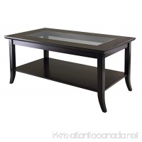 Winsome Genoa Rectangular Coffee Table with Glass Top And Shelf - B0094G35YO