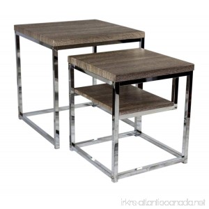 Sagebrook Home 12398-01 Nesting Tables Natural/Silver Kd Metal 19.5 x 19.5 x 21 Inches (Set of 2) - B01NBHATX0
