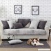 Lesic 100% Cotton Light Gray Couch Cover Anti-slip Concise Style Sofa Protector 36X71inches(90X180cm) … - B0716KNFZH