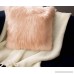 Jean Pierre Faux Fur 2-Piece Decorative Pillow Set Blush - B06XFTWDZD