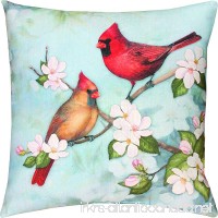 Manual Climaweave Indoor/Outdoor Square Decorative Throw Pillow Cover  18-Inch  Spring Cardinal Pillow Case - B00BMQFS1C