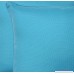 Pillow Perfect Outdoor Veranda Turquoise Throw Pillow 18.5-Inch Set of 2 - B00J9BA2VI