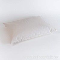 Sachi Organics Buckwheat Hull Sleeping Pillow - B005CDCDKK