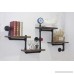 Industrial Rustic Modern Wood Ladder Pipe Wall Shelf 4 Layer Pipe Design Bookshelf Diy Shelving - B06Y5JR451