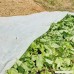 Agfabric Row Cover Plant Shade 0.55oz Fabric of 5x50ft Plant Cover for Bug Barrier - B07F8VVV5R