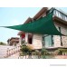 LyShade 12' x 12' Square Sun Shade Sail Canopy (Cadet Blue) - UV Block for Patio and Outdoor - B01MR7XRP1