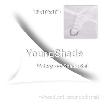 YoungShade 10' x 10' x 10' White Color Sun Shade Sail Triangle Waterproof Woven Sun Shelter Shade Cloth - B071KJC5LB