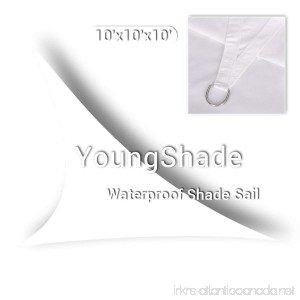 YoungShade 10' x 10' x 10' White Color Sun Shade Sail Triangle Waterproof Woven Sun Shelter Shade Cloth - B071KJC5LB