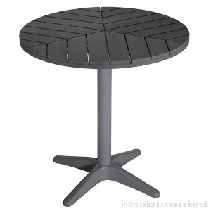 Carbon Loft Wallis Silver/Slate Grey Poly Wood Round Aluminum Outdoor Bistro Table - B07F1Y743P