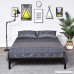 Metal Bed Frame Steel Queen Size Decor Iron Base with Headboard and Footboard Legs Platform Slats Cover Black 630 (Queen) - B07D5T2MVZ