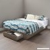 South Shore Holland Full/Queen Platform Bed (54/60'') with Drawer Weathered Oak - B06WRNPH7M
